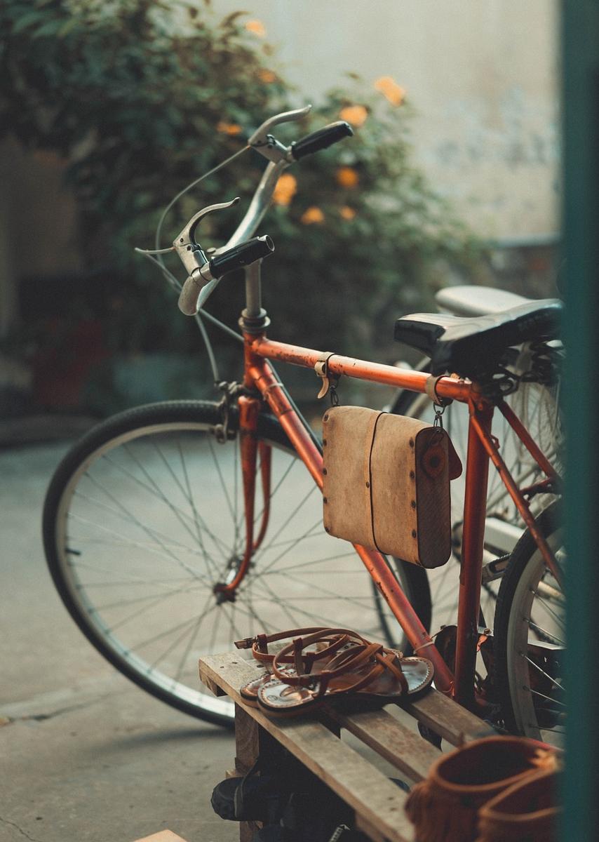 bicycles diversity